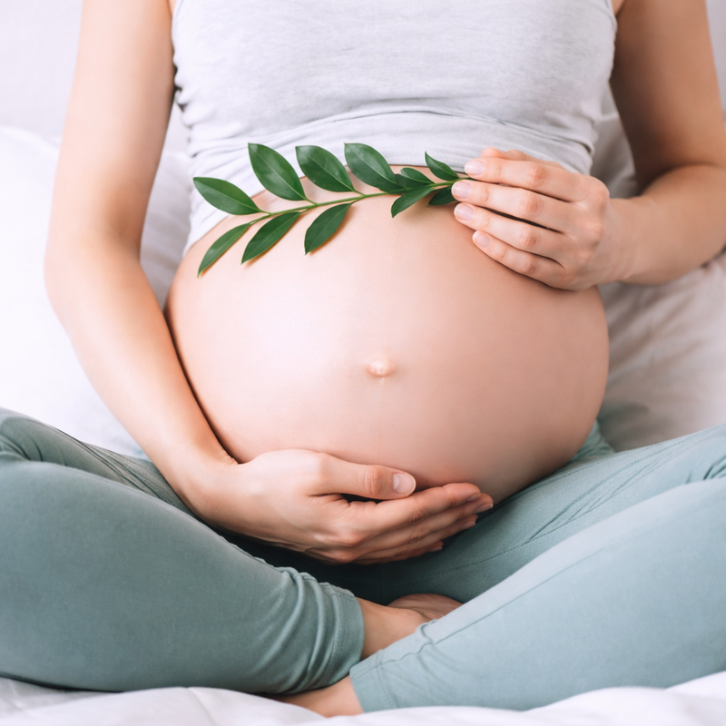Pregnancy Nourishment