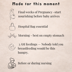 Lactation Bliss Bites
